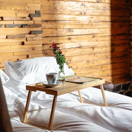 Villa Remata Handlová